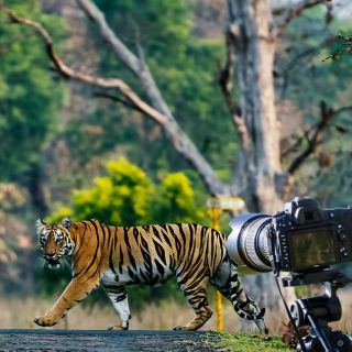 Camera on Rent